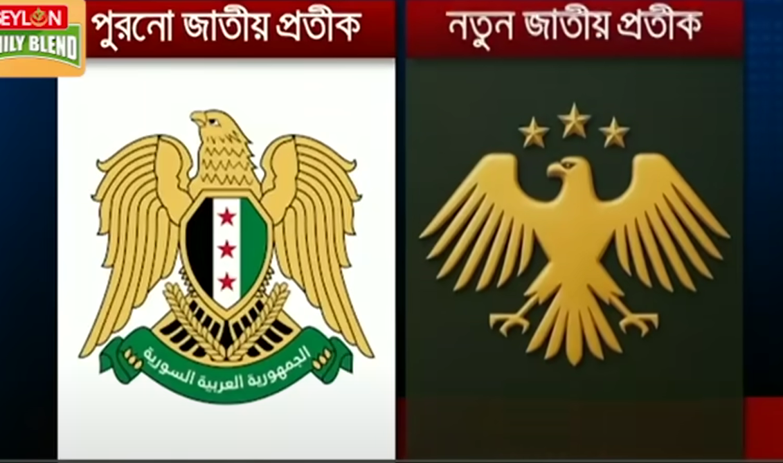 শেয়ার বাজার সর্বকালের উচ্চতায় পৌঁছেছে