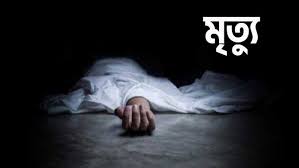 রাঙ্গাবালীতে গাছ কাটতে গিয়ে পড়ে গিয়ে শ্রমিকের মৃত্যু