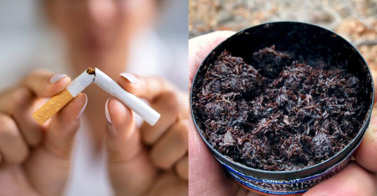 সিগারেট নাকি জর্দা—কোনটা বেশি ক্ষতিকর?